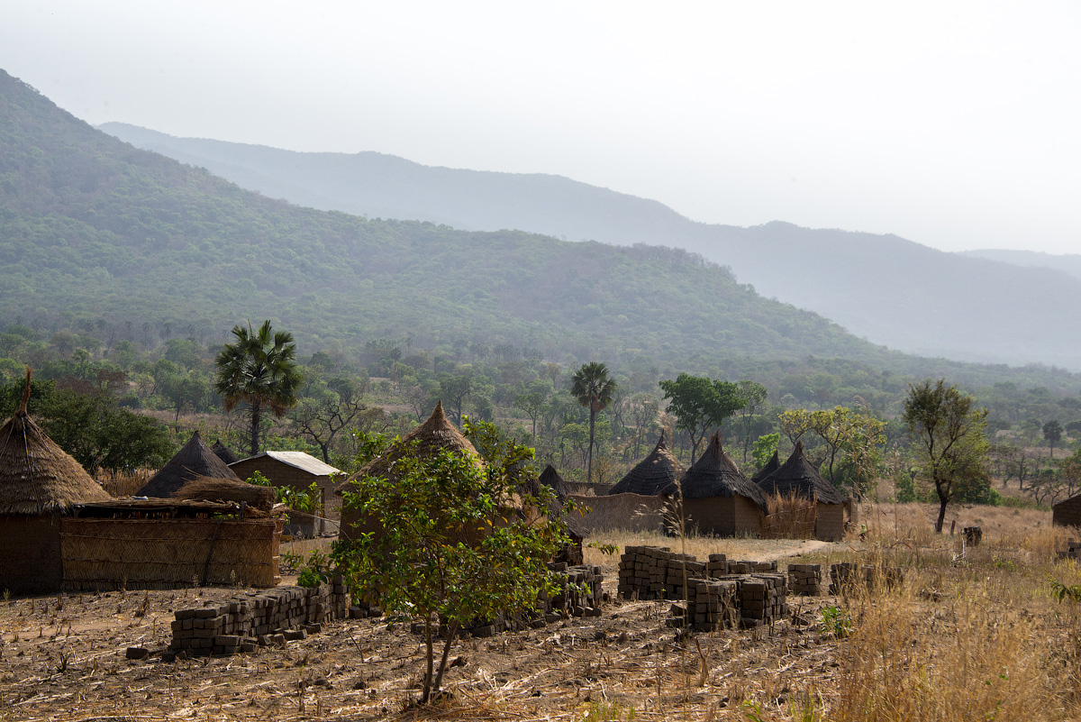 ЦАРские, и не только, приключения в Центральной Африке. Часть 1 - Камерун.